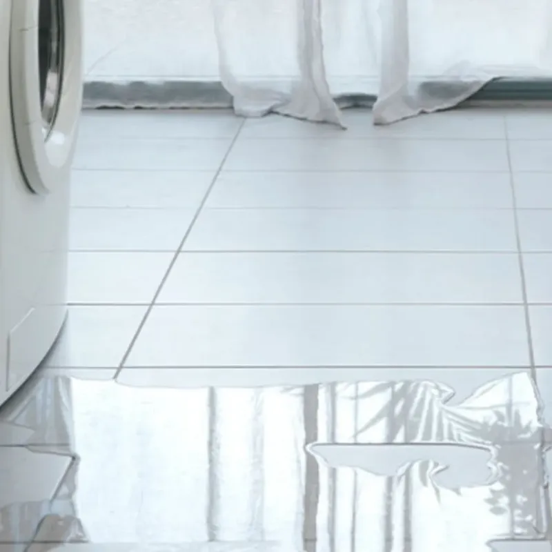 Appliance Leak Cleanup in Spencerville, MD