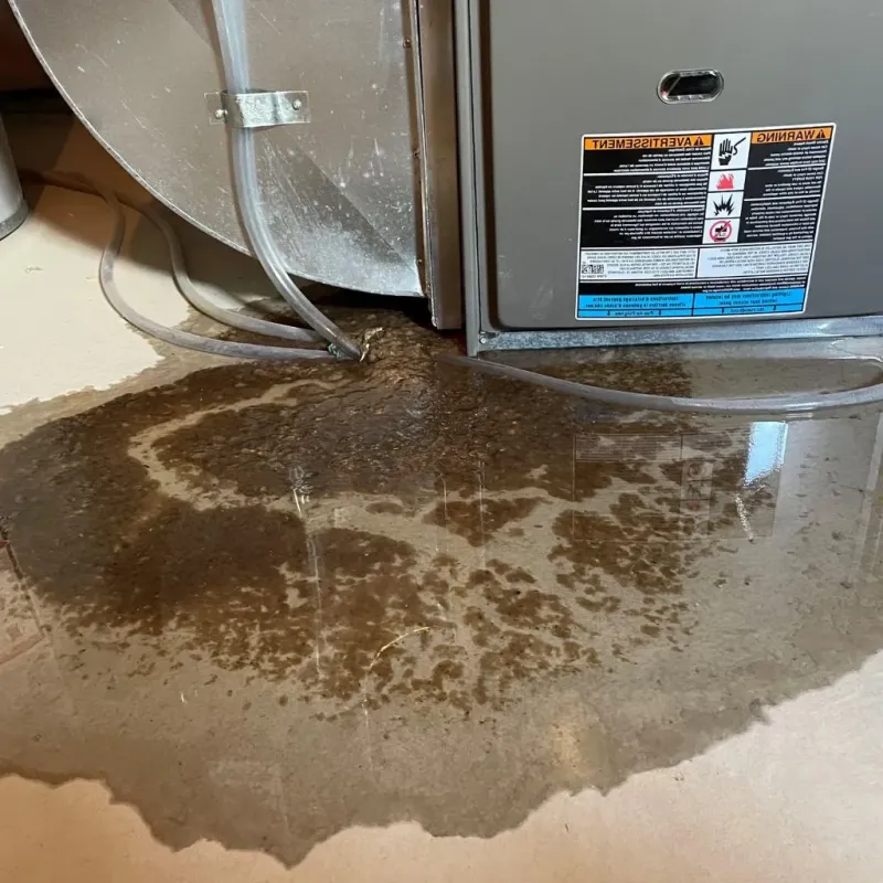 Pipe Burst and Leak Restoration in Spencerville, MD
