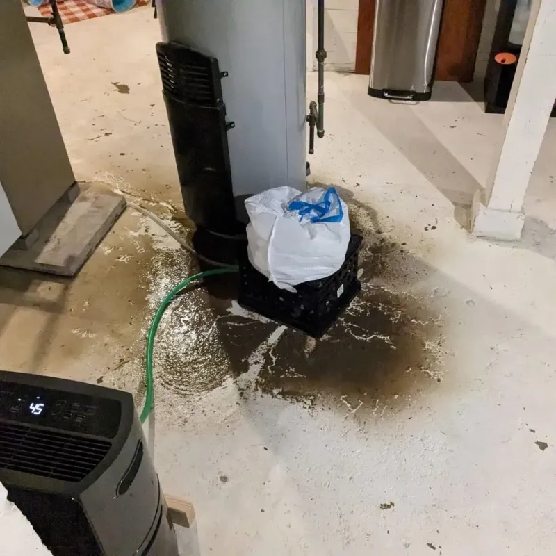 Sewage Backup Cleanup Service in Spencerville, MD